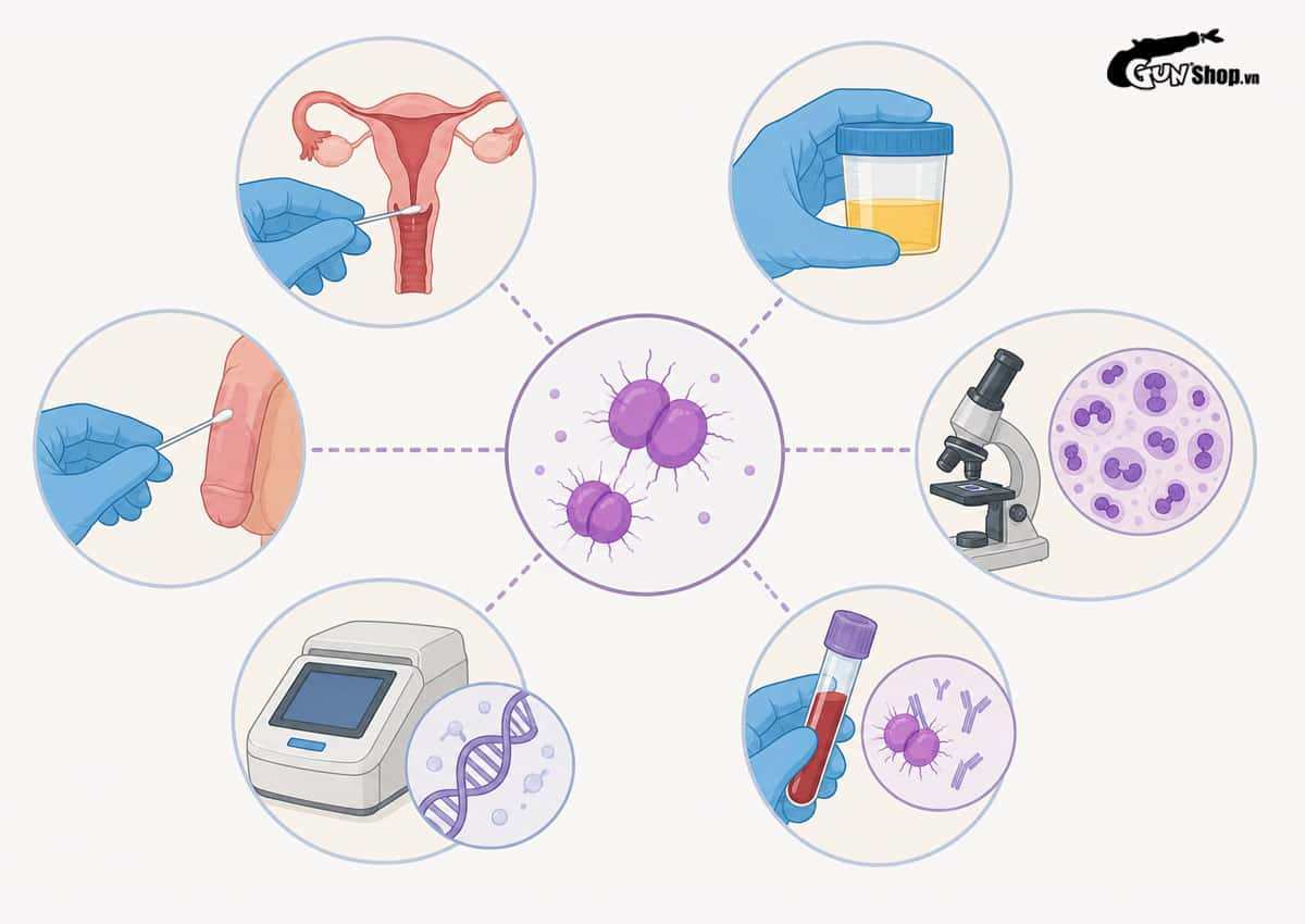 Vi khuẩn Neisseria Gonorrhoeae gây bệnh gì?