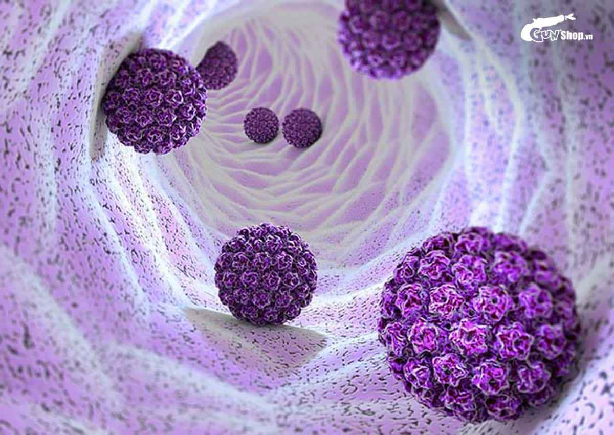 Virus HPV gây bệnh gì ở nam giới?