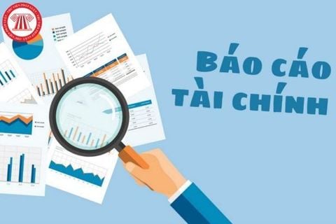 BÁO CÁO TÀI CHÍNH QUÝ III/2025