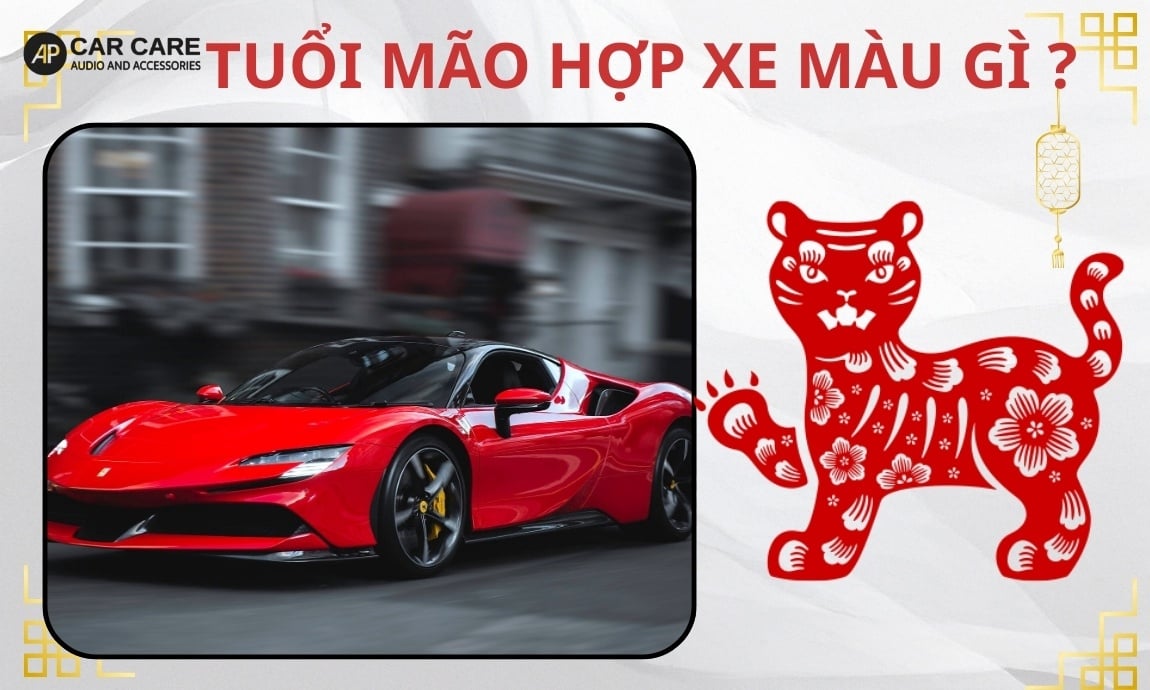 Tuổi Mão hợp xe màu gì? Bí kíp chọn màu thu hút TÀI LỘC