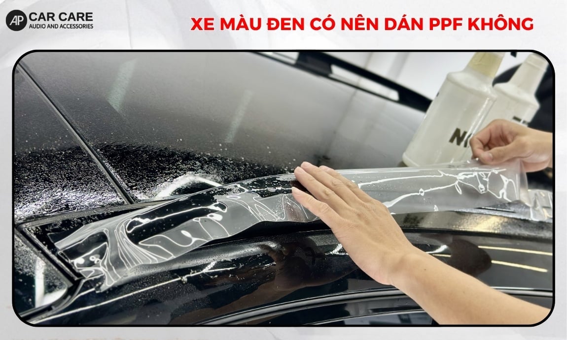 Xe Màu Đen Có Nên Dán PPF Không? [GIẢI ĐÁP NHANH]