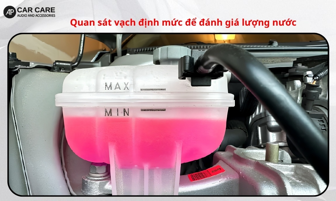 Bước 3: Quan sát vạch định mức để đánh giá lượng nước