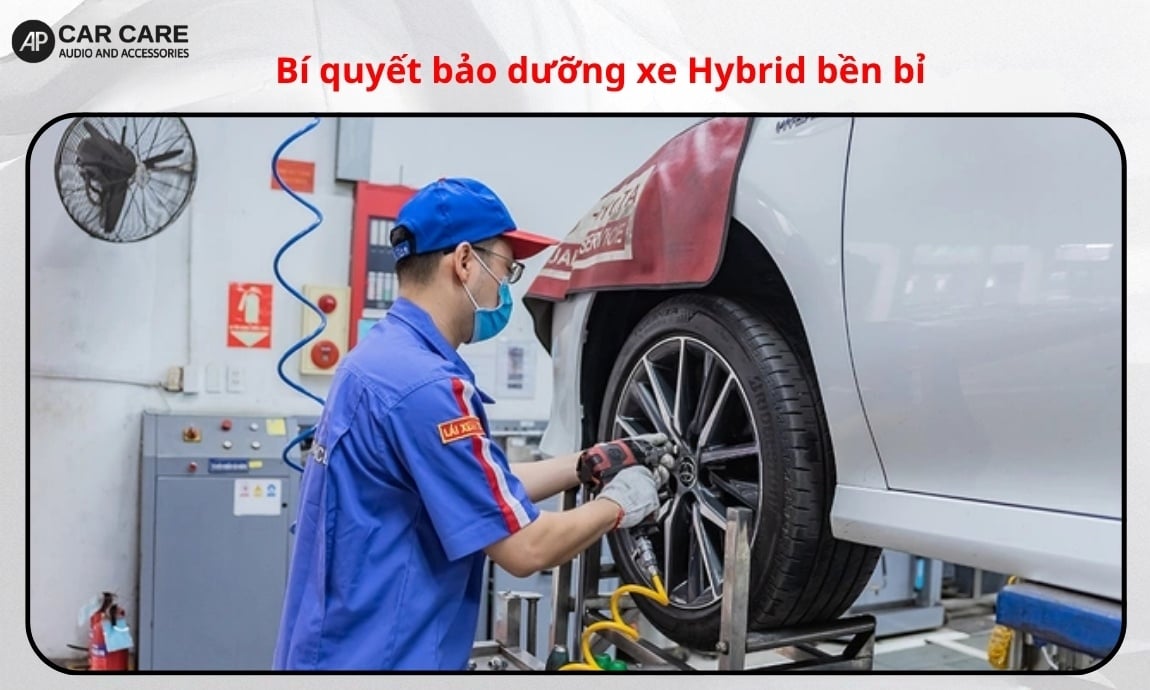 Bí quyết bảo dưỡng xe Hybrid bền bỉ