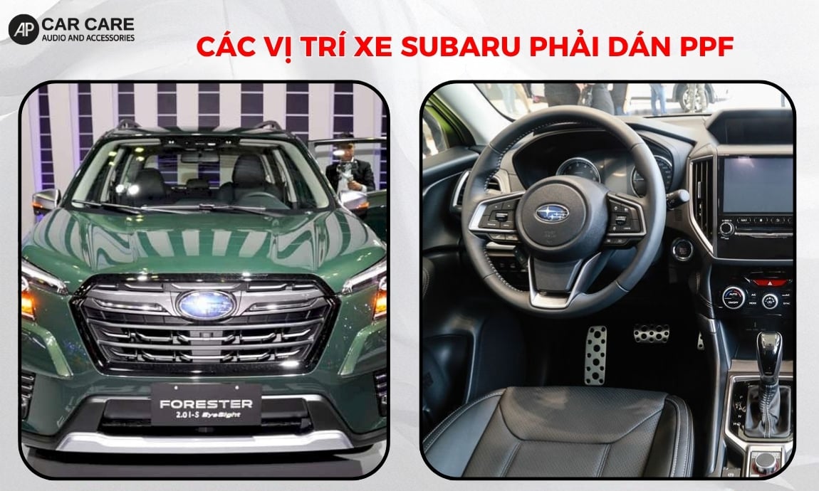 Các vị trí trọng yếu trên xe Subaru nhất định phải dán PPF