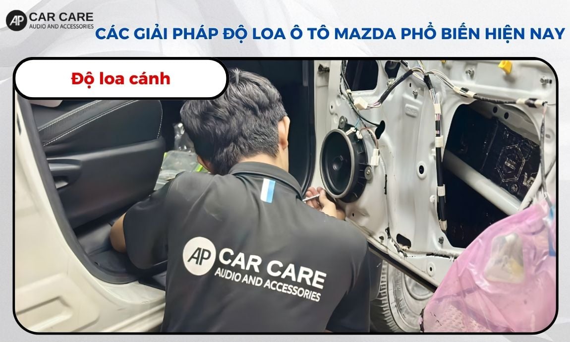 Thay thế hệ thống loa cánh cửa