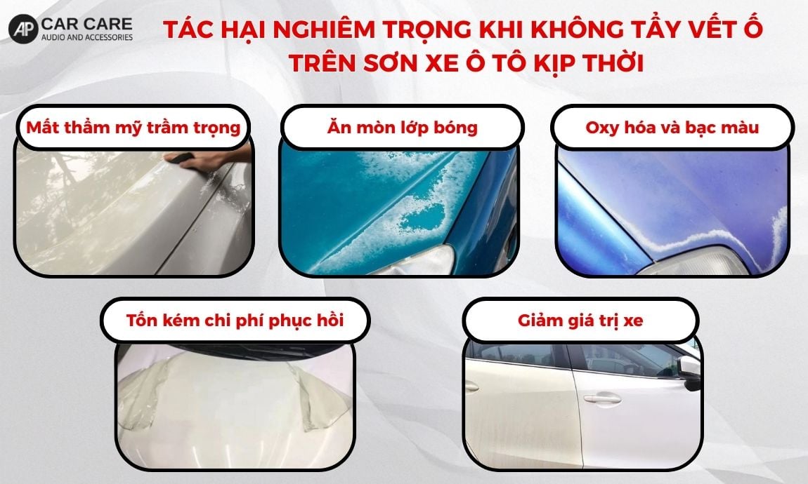 Tác hại nghiêm trọng khi không tẩy vết ố trên sơn xe ô tô kịp thời