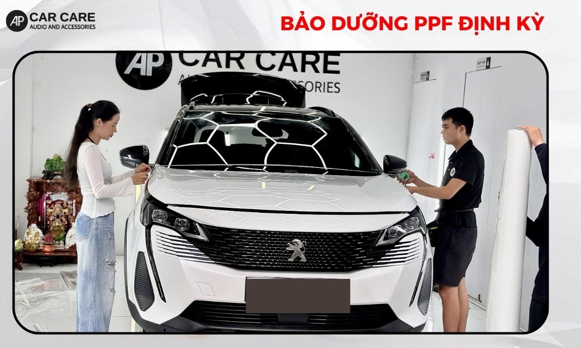 Bảo dưỡng PPF định kỳ tại trung tâm detailing