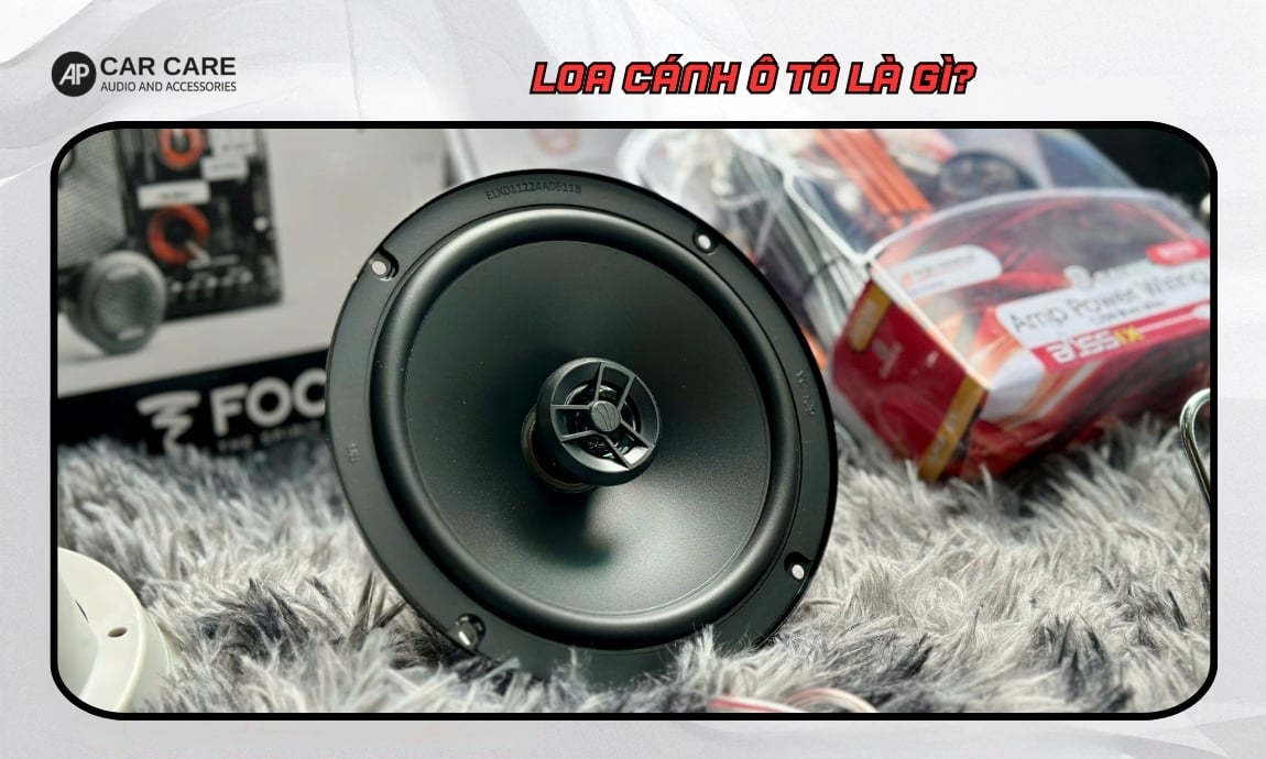 Loa cánh ô tô là gì