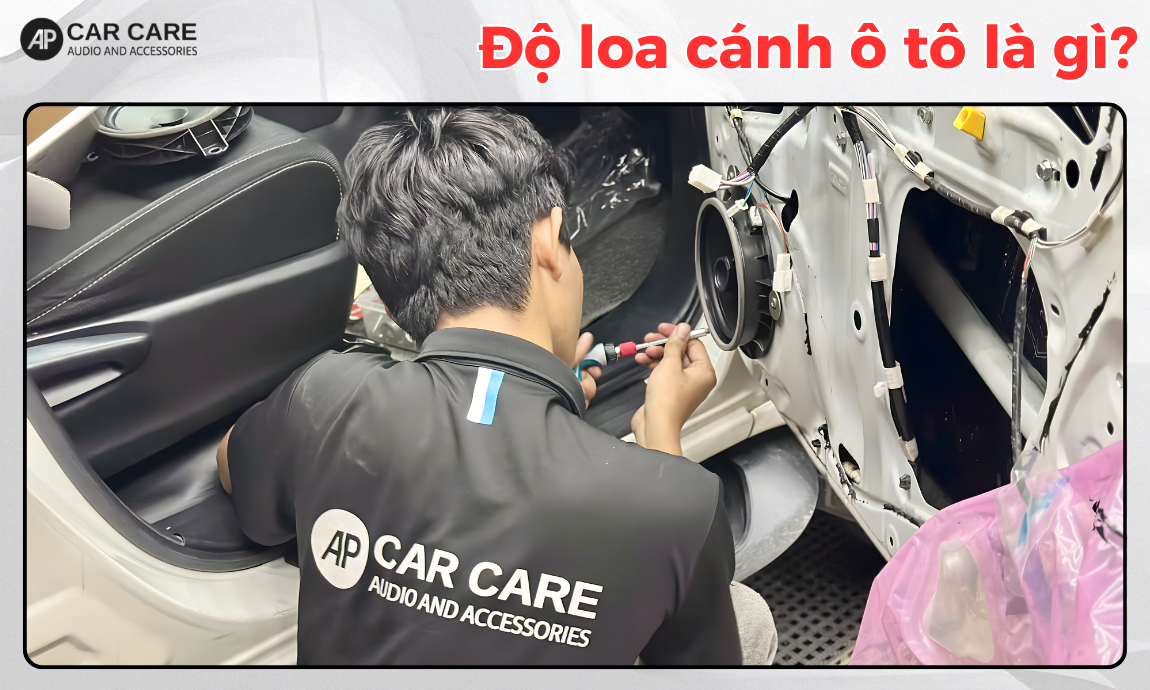 dịch vụ độ loa cánh cửa ô tô chính hãng là gì