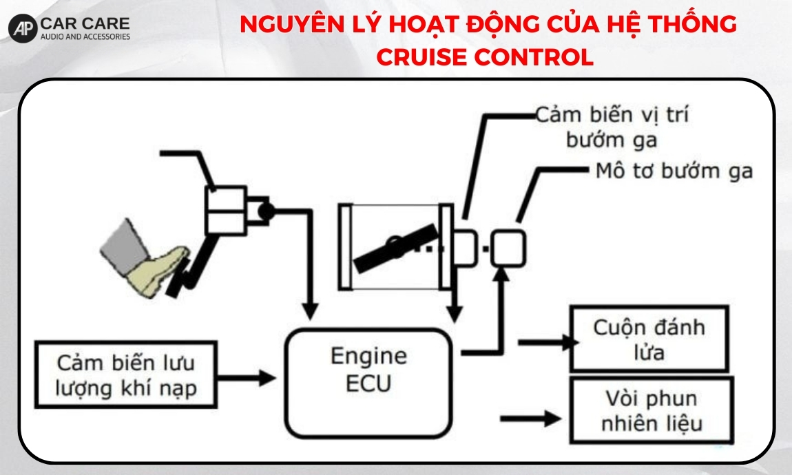 Nguyên lý hoạt động của hệ thống cruise control là gì?