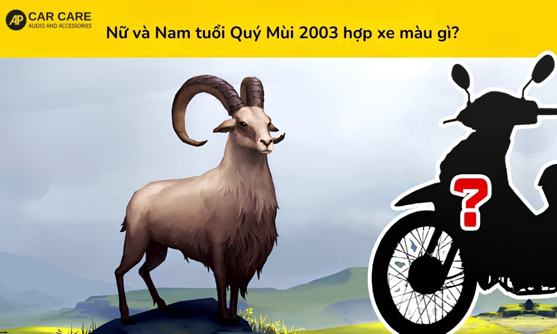 Tuổi Quý Mùi 2003 hợp xe màu gì?
