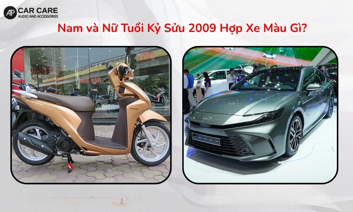 Tuổi Kỷ Sửu 2009 hợp xe màu gì?