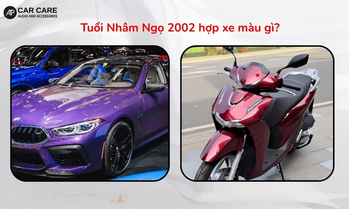 Tuổi Nhâm Ngọ 2002 hợp xe màu gì?