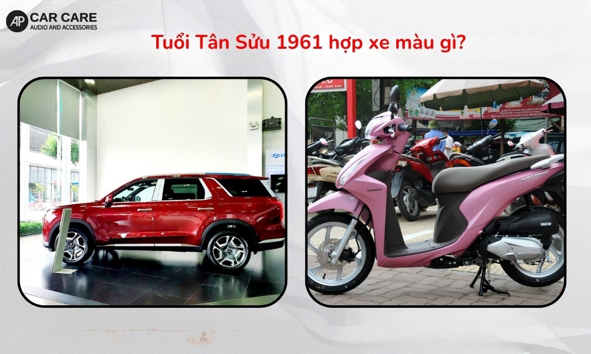Tuổi Tân Sửu 1961 hợp xe màu gì?
