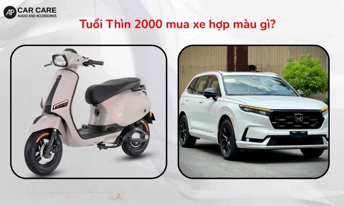 Tuổi Thìn 2000 mua xe hợp màu gì?