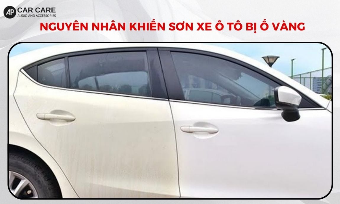 Nguyên nhân khiến sơn xe ô tô bị ố vàng