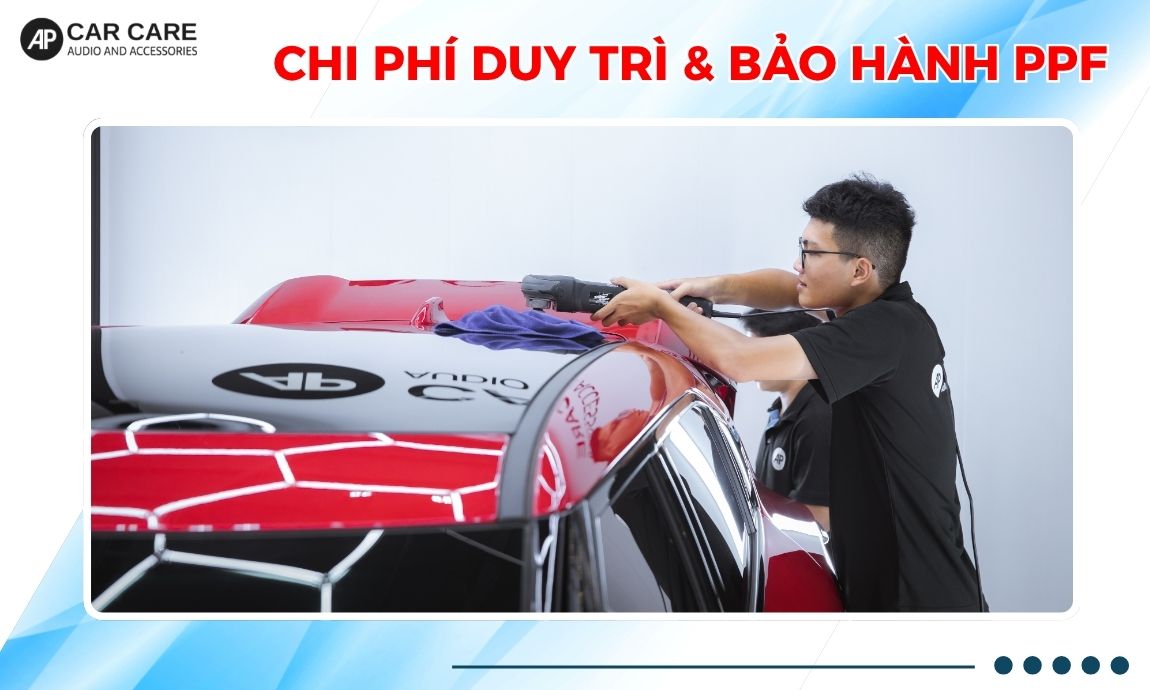 cân nhắc chi phí duy trì và bảo hành va chạm PPF