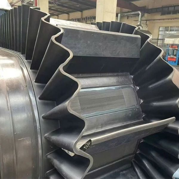 Gân xương cá trên bề mặt băng tải cao su