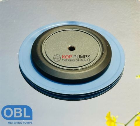Phụ Tùng Bơm OBL Chính Hãng – Vì Sao Cần Thay Màng Bơm Định Kỳ?