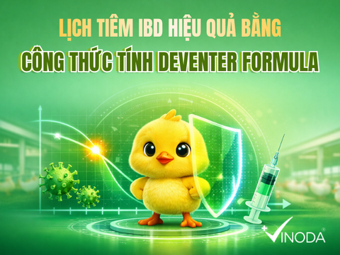 LỊCH TIÊM IBD HIỆU QUẢ BẰNG CÔNG THỨC TÍNH DEVENTER FORMULA