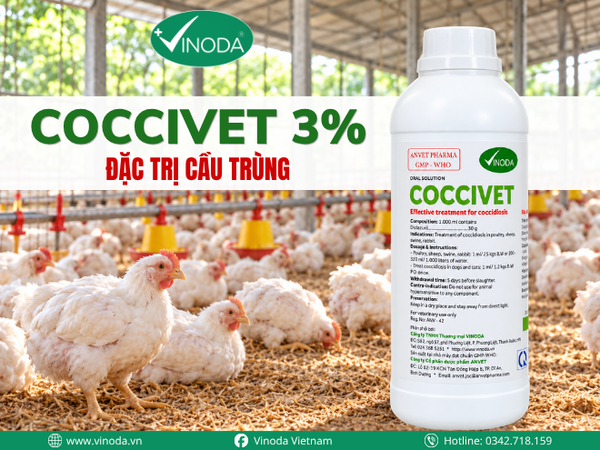 COCCIVET 3% ĐẶC TRỊ CẦU TRÙNG