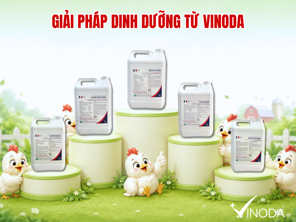 Giải pháp sản phẩm toàn diện đến từ VINODA