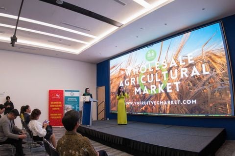 Chợ đầu mối nông sản số – Cánh cửa mới cho nông sản Việt tại thị trường Singapore