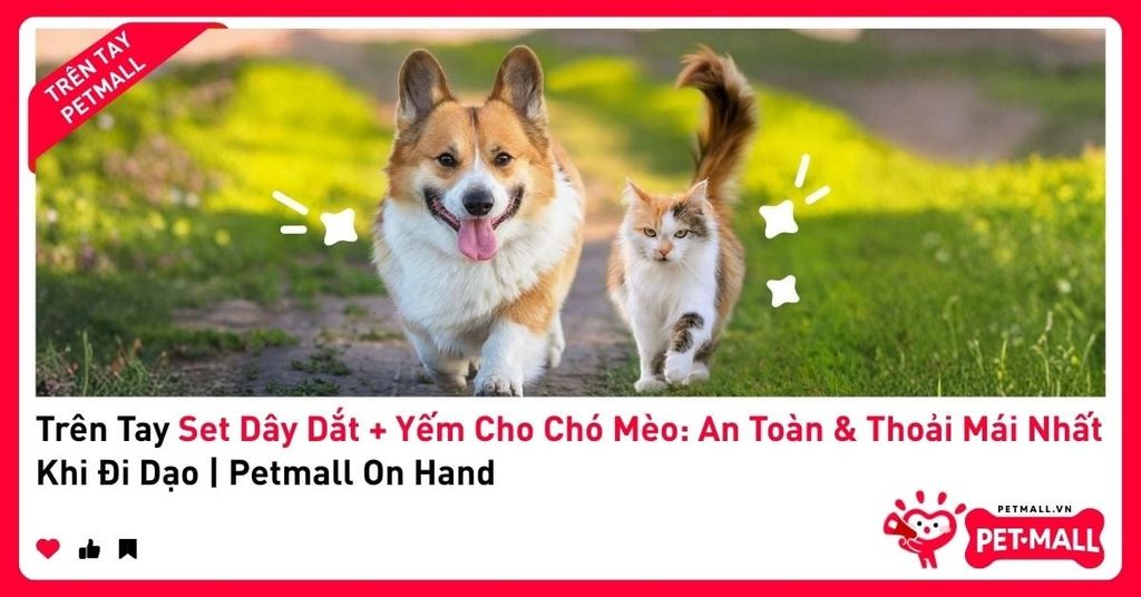 Trên Tay Set Dây Dắt + Yếm Cho Chó Mèo: An Toàn & Thoải Mái Nhất Khi Đi Dạo | Petmall On Hand