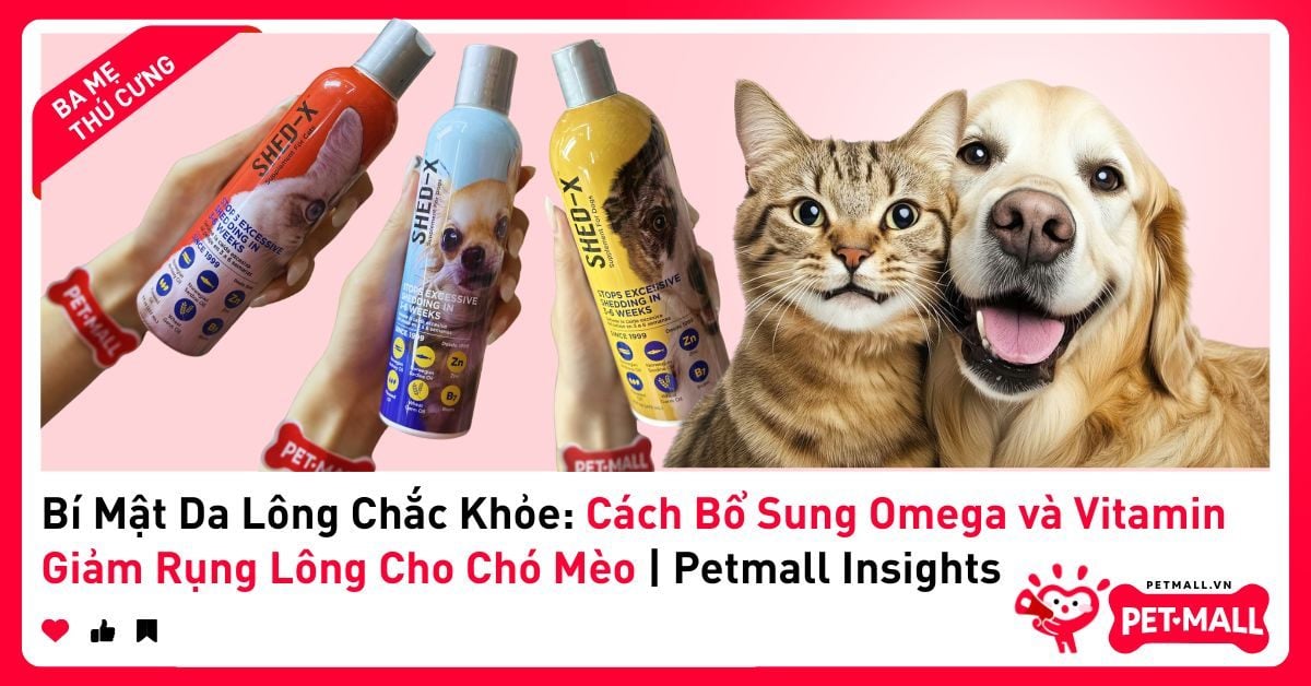 Bí Mật Da Lông Chắc Khỏe: Cách Bổ Sung Omega và Vitamin Giảm Rụng Lông Cho Chó Mèo | Petmall Insights