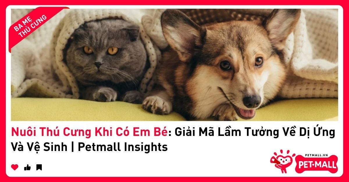 Nuôi Thú Cưng Khi Có Em Bé: Giải Mã Lầm Tưởng Về Dị Ứng Và Vệ Sinh | Petmall Insights