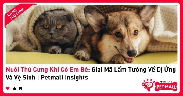 Nuôi Thú Cưng Khi Có Em Bé: Giải Mã Lầm Tưởng Về Dị Ứng Và Vệ Sinh | Petmall Insights