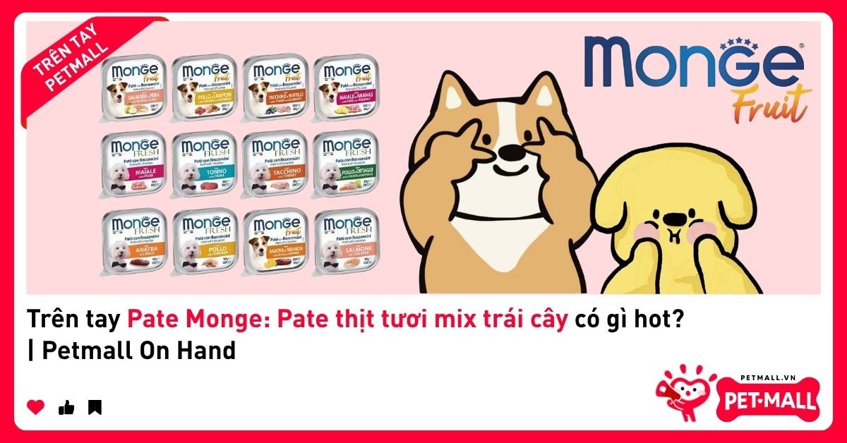 Trên tay Pate Monge: Pate thịt tươi mix trái cây có gì hot? | Petmall On Hand