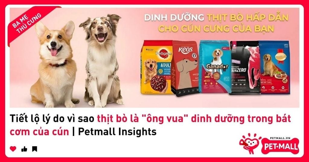 Tiết lộ lý do vì sao thịt bò là 