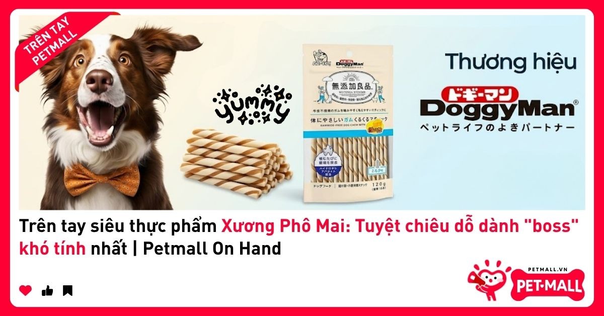 Trên tay siêu thực phẩm Xương Phô Mai: Tuyệt chiêu dỗ dành 