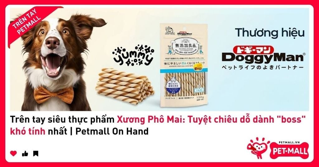 Trên tay siêu thực phẩm Xương Phô Mai: Tuyệt chiêu dỗ dành 
