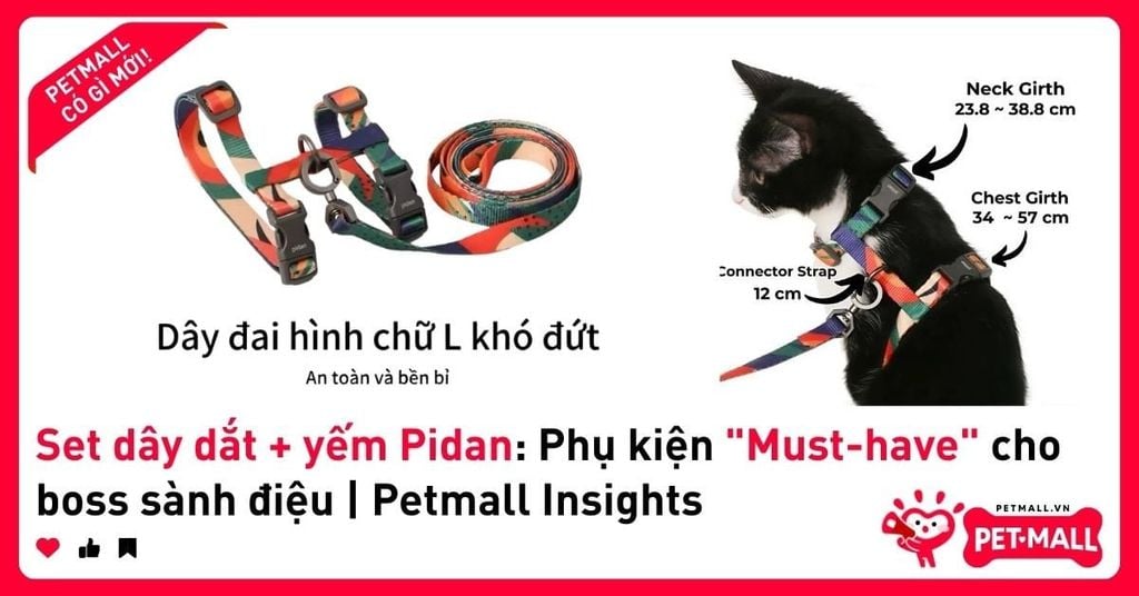Set dây dắt + yếm Pidan: Phụ kiện 