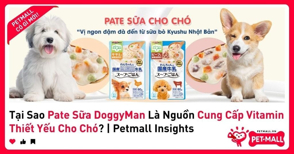 Tại Sao Pate Sữa DoggyMan Là Nguồn Cung Cấp Vitamin Thiết Yếu Cho Chó? | Petmall Insights
