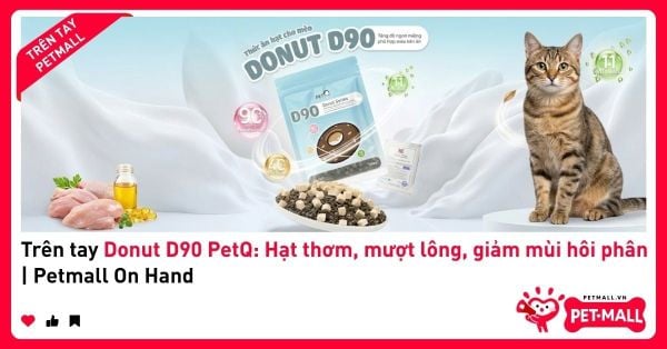 Trên tay Donut D90 PetQ: Hạt thơm, mượt lông, giảm mùi hôi phân | Petmall On Hand