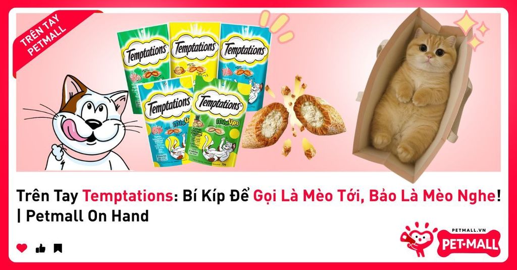 Trên Tay Temptations: Bí Kíp Để Gọi Là Mèo Tới, Bảo Là Mèo Nghe! | Petmall On Hand