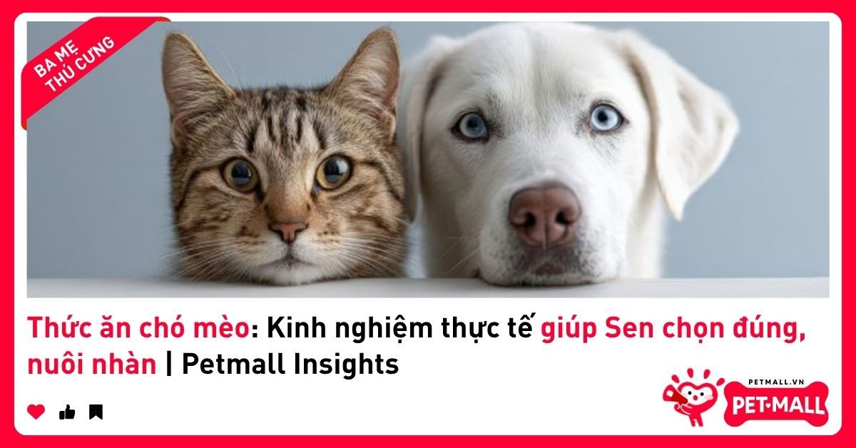 Thức ăn chó mèo: Kinh nghiệm thực tế giúp Sen chọn đúng, nuôi nhàn | Petmall Insights