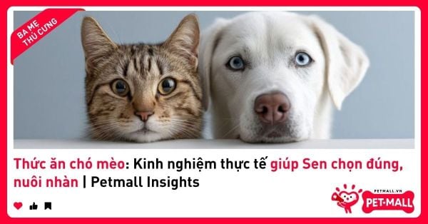 Thức ăn chó mèo: Kinh nghiệm thực tế giúp Sen chọn đúng, nuôi nhàn | Petmall Insights