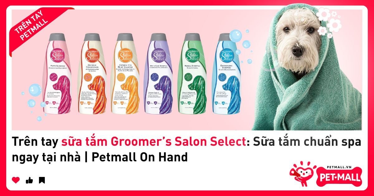 Trên tay sữa tắm Groomer’s Salon Select: Sữa tắm chuẩn spa ngay tại nhà | Petmall On Hand