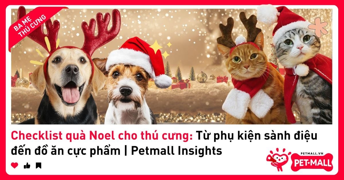 Checklist quà Noel cho thú cưng: Từ phụ kiện sành điệu đến đồ ăn cực phẩm | Petmall Insights