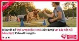 Bí quyết để thú cưng hiểu ý chủ: Xây dựng sợi dây kết nối bền chặt | Petmall Insights