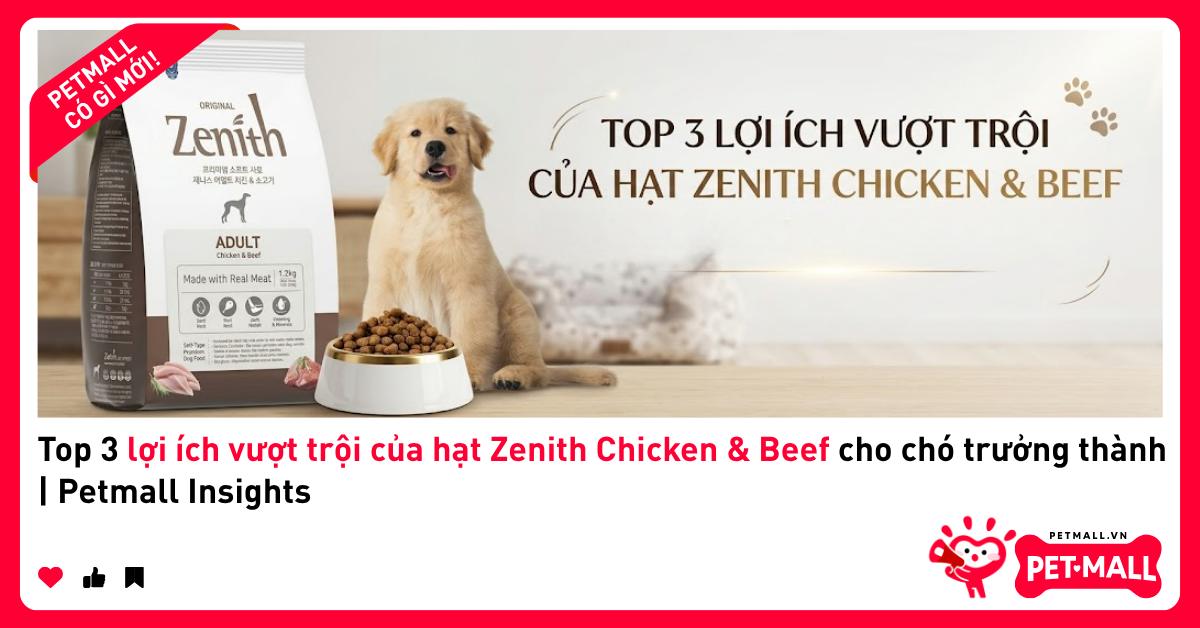 Top 3 lợi ích vượt trội của hạt Zenith Chicken & Beef cho chó trưởng thành | Petmall Insights