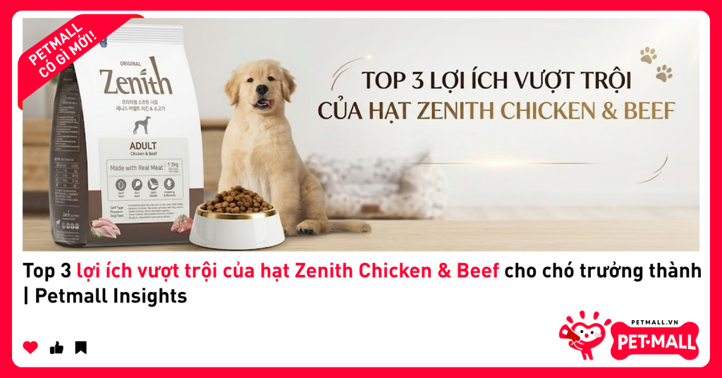 Top 3 lợi ích vượt trội của hạt Zenith Chicken & Beef cho chó trưởng thành | Petmall Insights