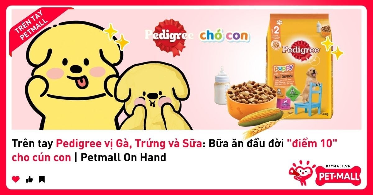 Trên tay Pedigree vị Gà, Trứng và Sữa: Bữa ăn đầu đời 