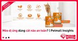 Mèo dị ứng dùng cát nào an toàn? | Petmall Insights