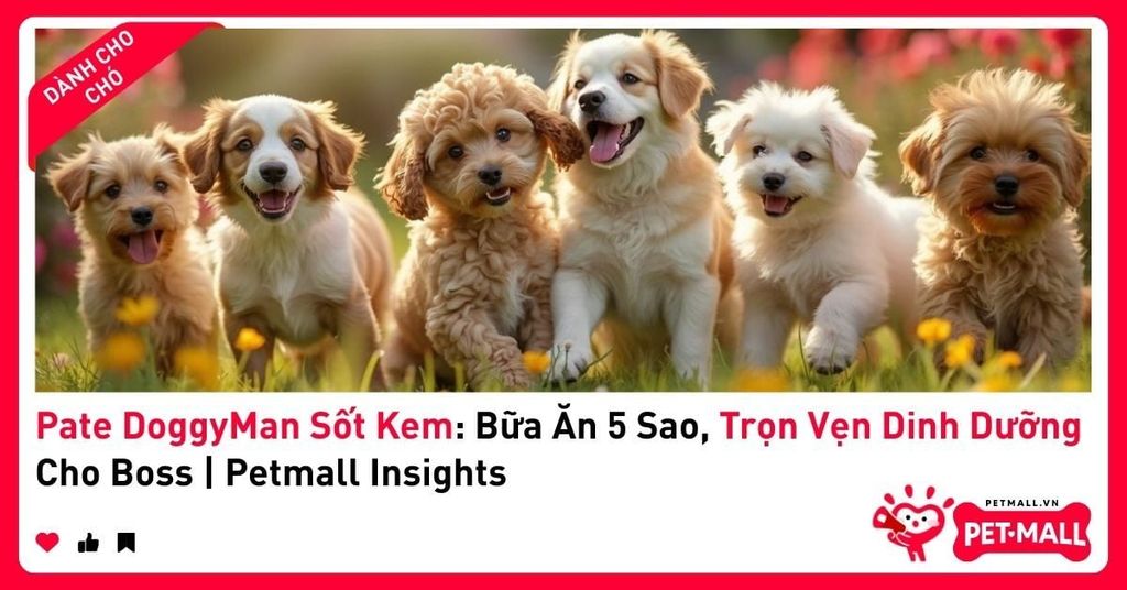 Pate DoggyMan Sốt Kem: Bữa Ăn 5 Sao, Trọn Vẹn Dinh Dưỡng Cho Boss | Petmall Insights