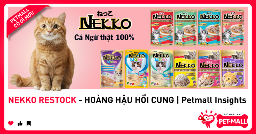 NEKKO RESTOCK - HOÀNG HẬU HỒI CUNG | Petmall Insights
